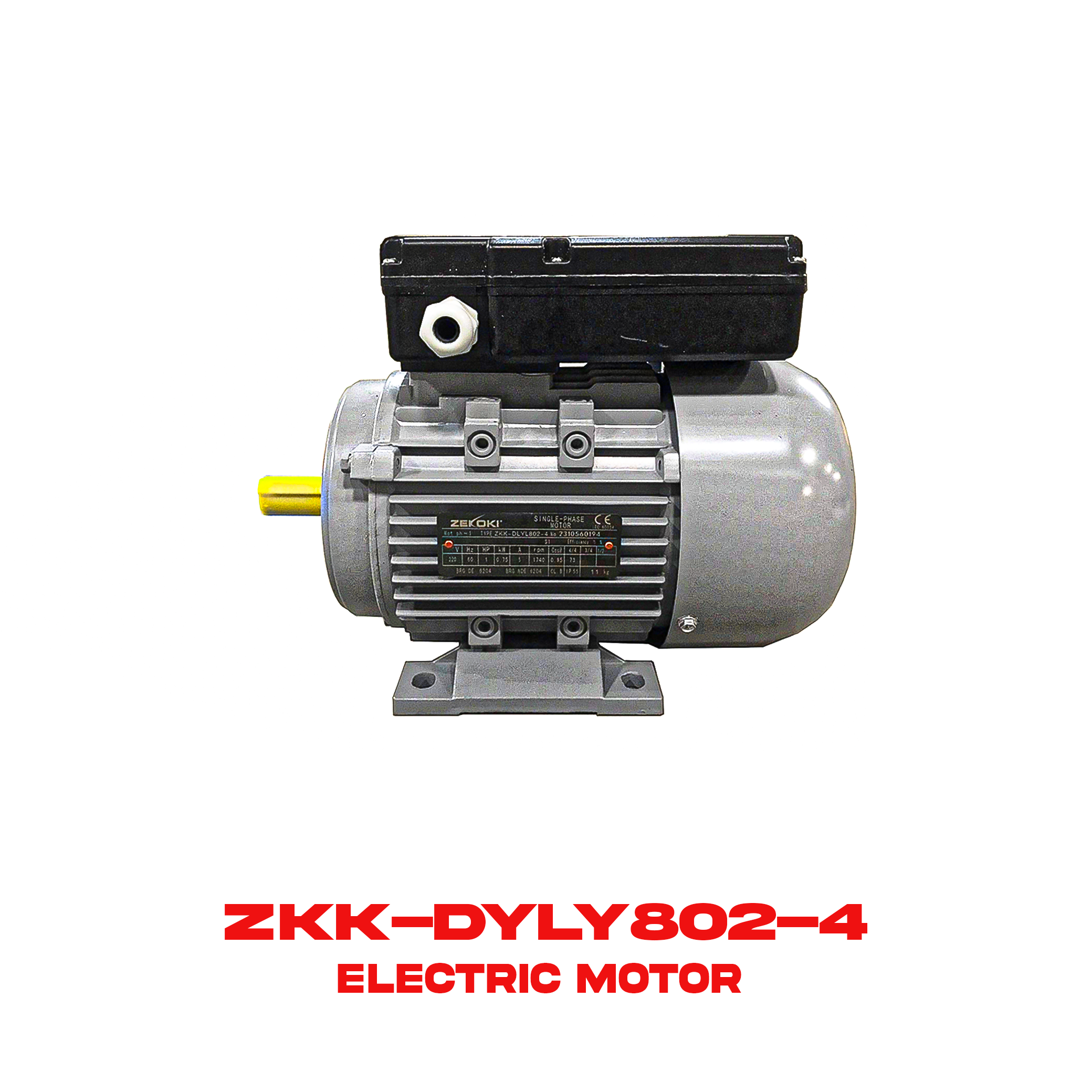 Electric Motor (ZKK-DYLY802-4)